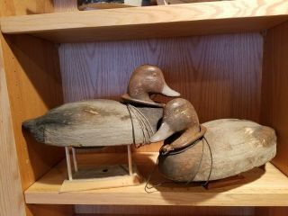 Rare Oversized Old 1940 Waseca Minnesota Herters Redhead Wood Duck Decoy Pair