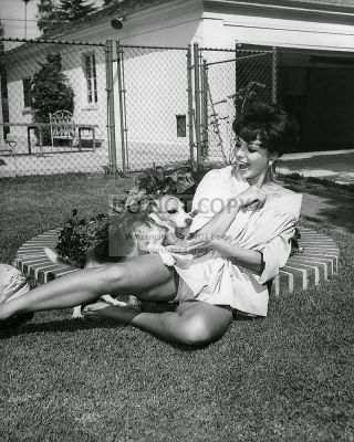 Actress Joan Collins - 8x10 Publicity Photo (rt062)