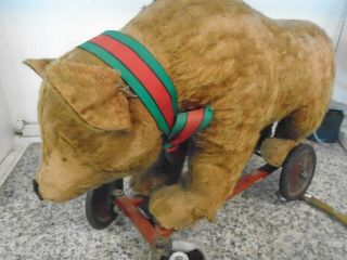 Vintage Antique Steiff Bear On Wheels.