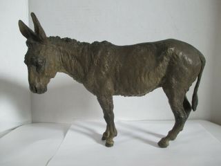 Large Antique Austrian Vienna Cold Painted Bronze Donkey Geschutzt 1890