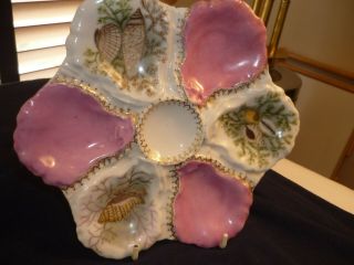 Antique Haviland,  Co Oyster Plate/dish/server,  Colorful With Sea Creatures