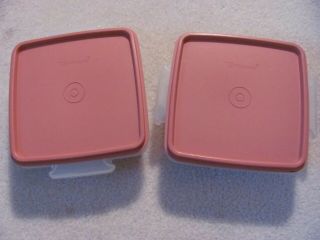 2 Vintage Tupperware Square Away Sandwich Keeper 1362 - 5.  5 " X 5.  5 " - Exc.  Cond.