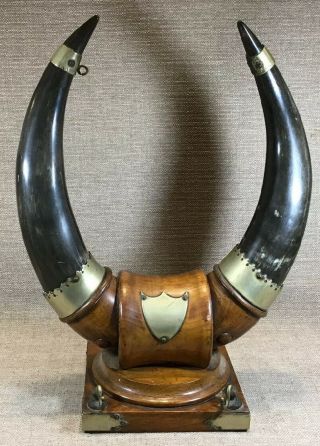 Vintage Western Cowboy Ranch Mounted Steer Bull Cow Horns Wall Decor Stamped