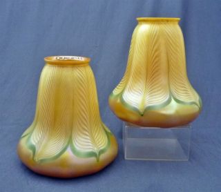 Signed Quezal Gold Aurene Pulled Feather Art Nouveau Glass Light Shades