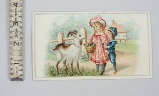 Brand Stove Co.  Admiral Goat Milwaukee Vintage Victorian Trade Card