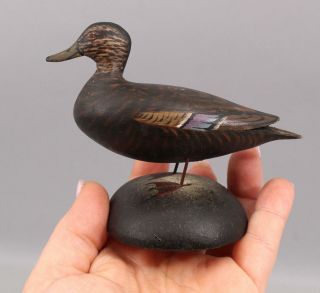 Miniature Antique A.  Elmer Crowell Carved & Painted American Black Duck Decoy