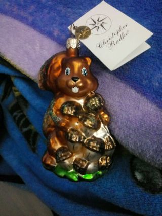 Christopher Radko Glass Ornament Squirrel " Nuts For You " Great Pre - Owned Cond