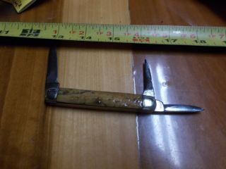 Antique W.  H.  Morley & Sons Bone Pocket Knife 3 Blade