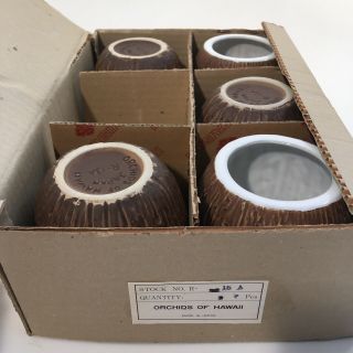 Nos Set Of 5 Vintage Orchids Of Hawaii Tiki Coconut Mug Japan - H4 Box