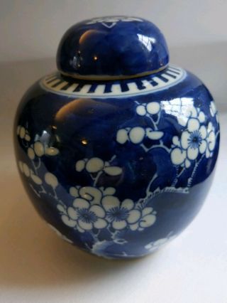Blue / White 19th Century Chinese Prunus Hawthorn Ginger Jar Kangxi Double Ring