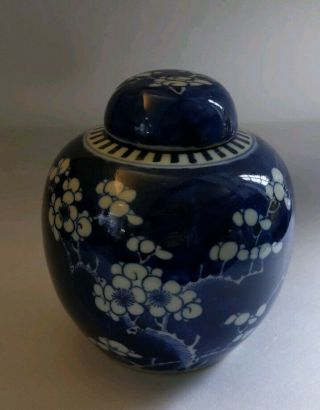 Blue / White 19th Century Chinese Prunus Hawthorn Ginger Jar KANGXI double ring 2
