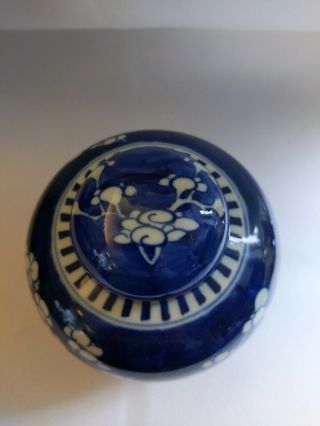 Blue / White 19th Century Chinese Prunus Hawthorn Ginger Jar KANGXI double ring 3