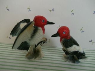 Vtg.  Bone China Miniature Figurines - Red Headed Woodpeckers Pr.  Birds Male/female