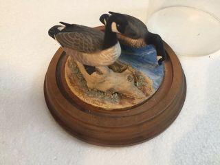 Antique Vintage Hand Carved Duck By W.  Reinbold Dome Display