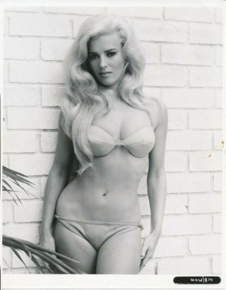 Edy Williams 1960s Sexy Buxom Cheesecake Photo Bikini Blonde Vv