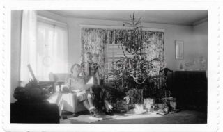 Christmas Memories Vintage Found Photo Bw Tree Snapshot 911 7 G