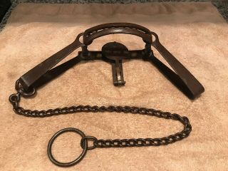 Vintage Newhouse 14 Double Long Spring Trap Wolf Trapping Sargent