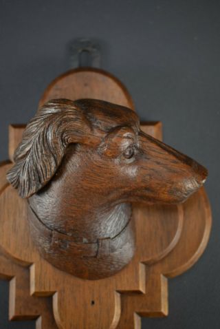 Black Forest Carved Wood Dog Head Wall Panel Wall Mounted Coat Hanger 2