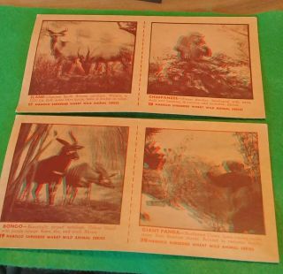Set Of 1953 Nabisco Shredded Wheat Wild Animal Series Full Set Of 20 3 - D Cards