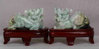 Certified 2 Color Natural Jade Jadeite Statue Sculpture Couple Pixiu R065862