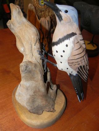 Northern Flicker Hand Carved Painted Wood Folk Art Bird Maine Look
