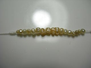 Rare 17 Natural Basra Seed Pearls Uncultured Vintage Antique Saltwater Jyotish