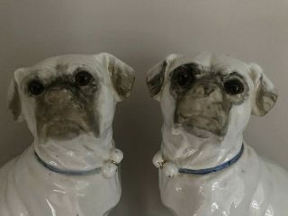 7.  9 " Antique 19th C After Meissen German Porcelain Figurine Pug Dogs Mantle Set