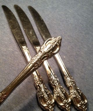 Oneida S.  S.  S.  Stainless Flatware Renoir Pembrooke Dinner Knives