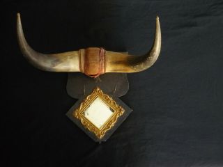 Vintage Mounted Buffalo Horn Rack W/ Mirror