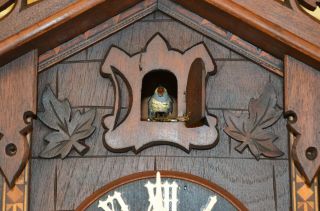 ANTIQUE GERMAN BLACK FOREST TRAIN STYLE CUCKOO CLOCK with INLAY EARLY 1900 ' S 3