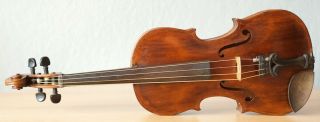 Very Old Labelled Vintage Violin " Carlo Giuseppe Testore " Fiddle 小提琴 ヴァイオリン Geige