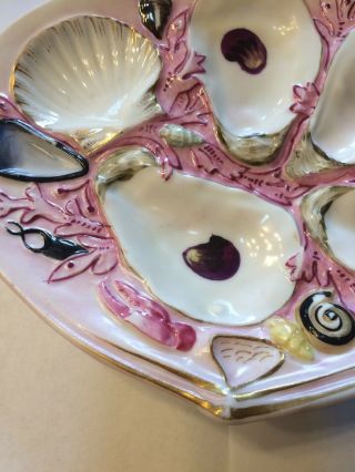 Antique Union Porcelain (UPW) Oyster Plate,  Clam Shape 3