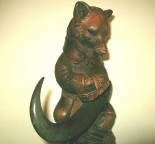 Rare Antique Black Forest Finely Hand Carved Wooden Fox Whip Hook Or Holder.