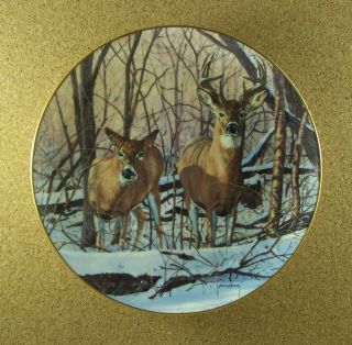 Friends Of The Forest Afternoon Alert Deer Plate Bruce Miller Buck Danbury