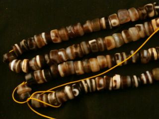 29 Inches Good Quality Tibetan Agate Dzi Disc Prayer Beads Necklace Z126