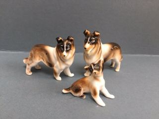 3 Vintage Mid Century Porcelain Animal Figurines - Handsome Collie Dog Family