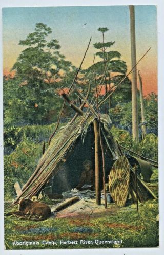 C1910 Npu Postcard Aboriginal Camp Herbert River Queensland Vg F55