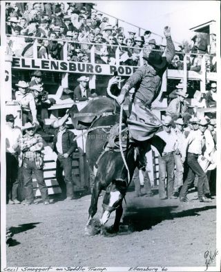 1962 Devere Helfrich Klamath Falls Or Ellensburg Rodeo Horses Riding Photo 8x10