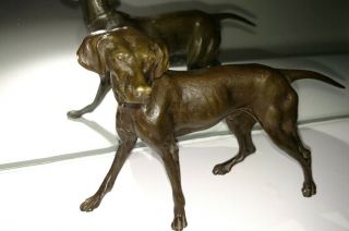 Fine Antique 19thc Bronze Hunting Dog Weimaraner ? Germany Sculpture