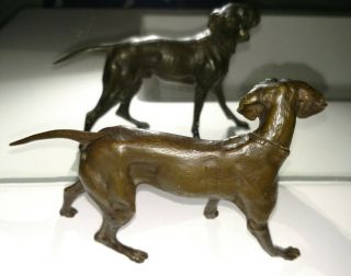 Fine Antique 19thc bronze hunting dog Weimaraner ? Germany Sculpture 2