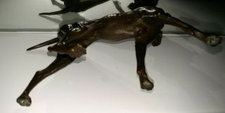 Fine Antique 19thc bronze hunting dog Weimaraner ? Germany Sculpture 3