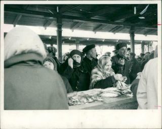 Vintage Photograph Of Muscovite Buying Fish From Moscow 
