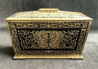George Iv Era Tea Caddy 19th Century Brass Boulle Sarcophagus Shaped
