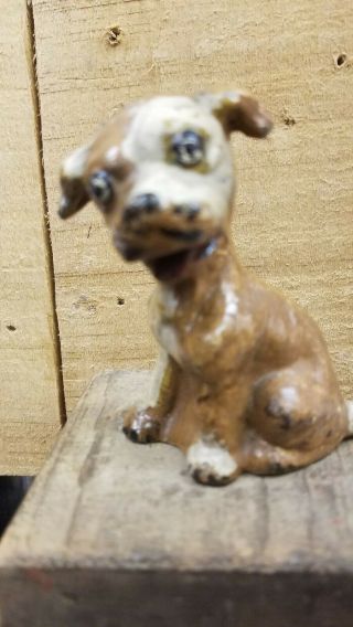 Rare Large Antique Cast Iron Hubley Dog.  Paperweight 3 1/4 " Tall Colors