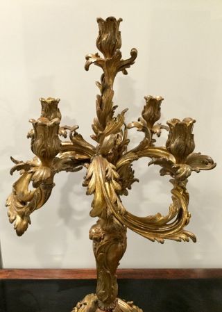 ANTIQUE LARGE 19TH C.  FRENCH BRONZE ROCOCO 5 LIGHT SINGLE CANDELABRA 3
