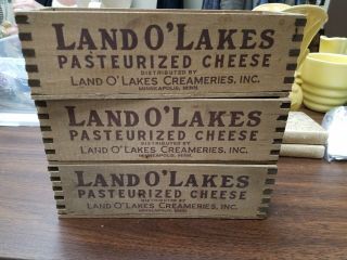 Vintage Land O Lakes Wooden Cheese Boxes 2 Pound Minneapolis Minnesota