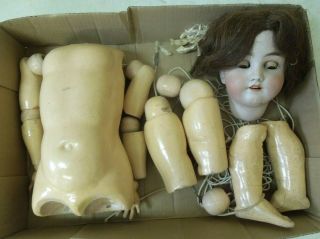 Antique Armand Marseille German Bisque Head Doll Parts/ Repair