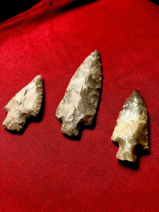 Authentic Group Of Stemmed Arrowheads From Lawrence County,  Tn.  1 - 7/8” 3” Long.