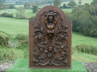 19thc Oak Carved Panel With Female Figurehead & Five Gothic Heads C.  1860