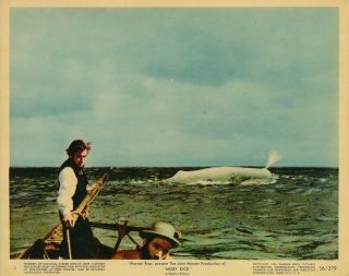 GREGORY PECK Set of Six 6 Vintage 1956 MOBY DICK Warner Bros COLOR Photos Photo 3